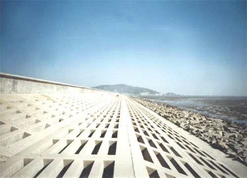 臺(tái)州發(fā)電廠六號(hào)灰?guī)旎覊喂こ?/>
					      <p><a href=